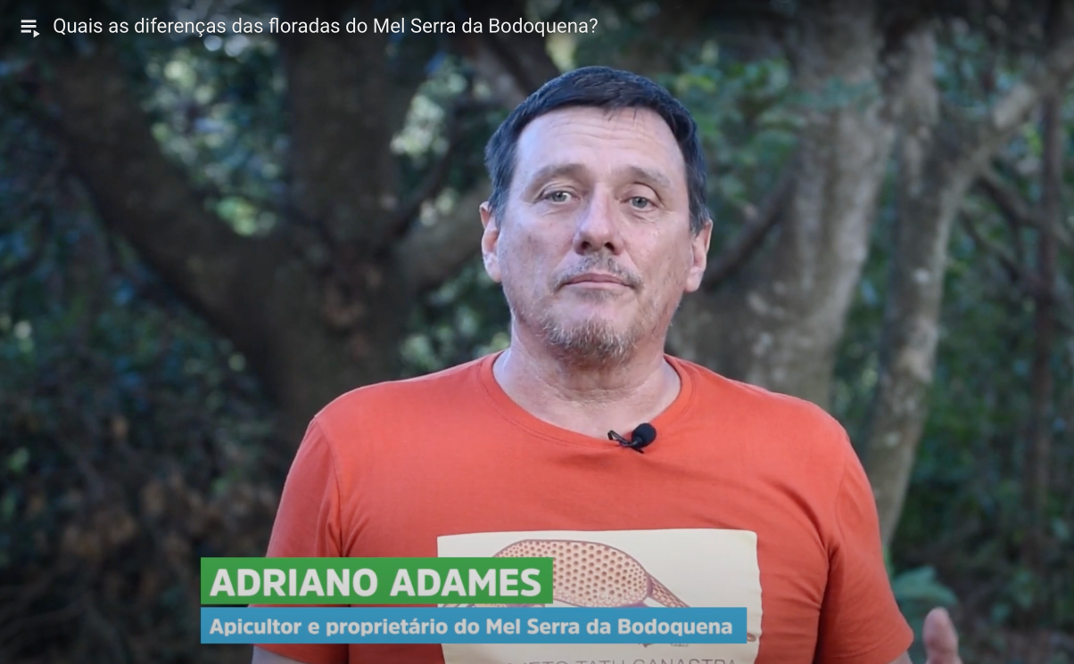 What are the differences in the blossoms of Serra da Bodoquena Honey?