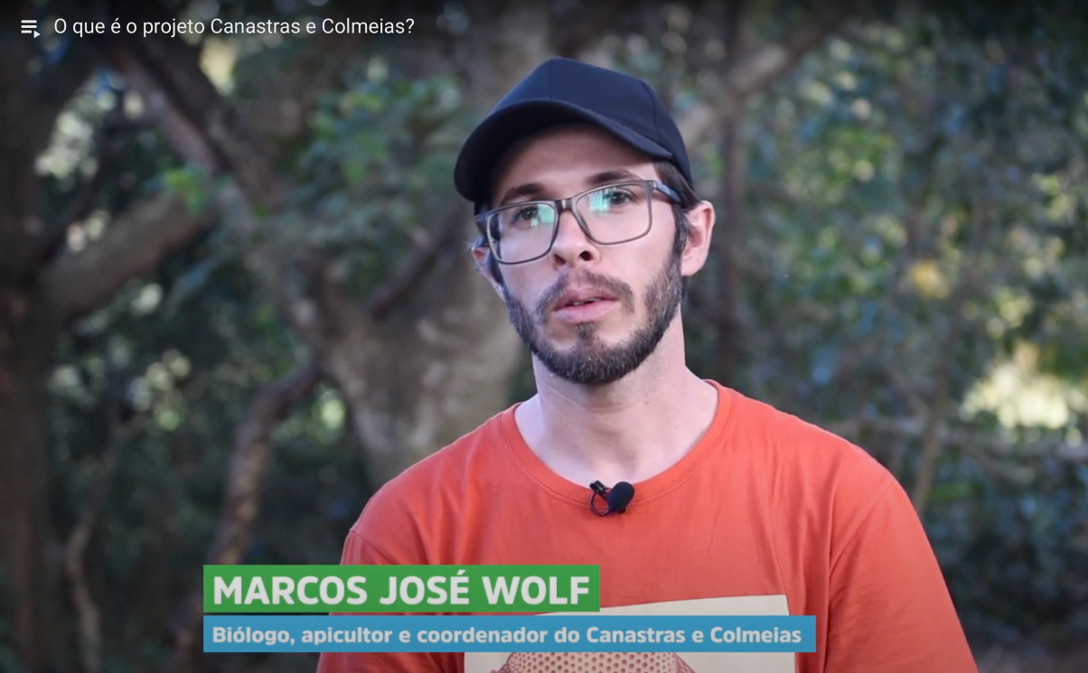 What is the Armadillos and Honey project?