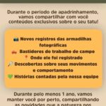 SaveClip.App_771589826_18581560915071345_333837795087086591_n